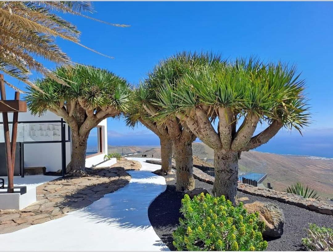 Casa La Tunera, Country House, Haria, Lanzarote Exterior photo